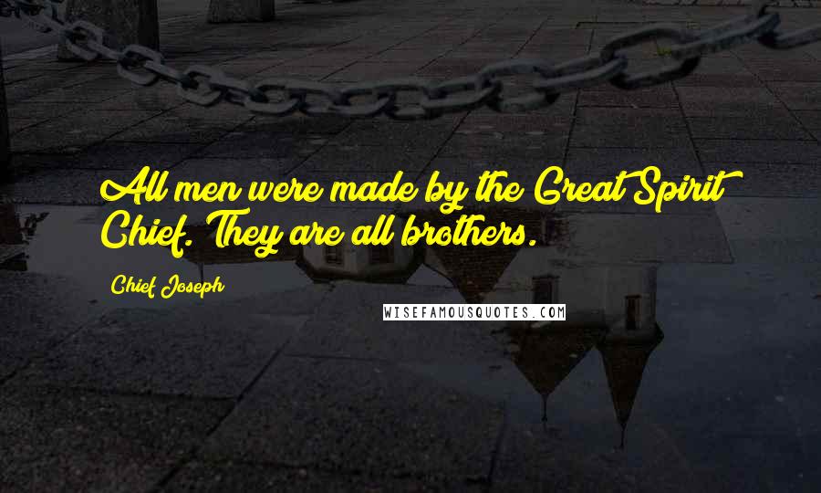 Chief Joseph Quotes: All men were made by the Great Spirit Chief. They are all brothers.