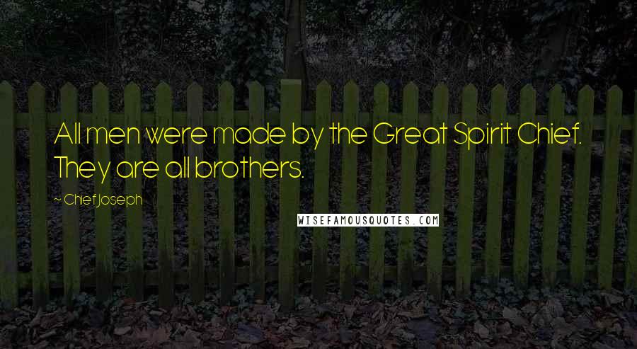 Chief Joseph Quotes: All men were made by the Great Spirit Chief. They are all brothers.