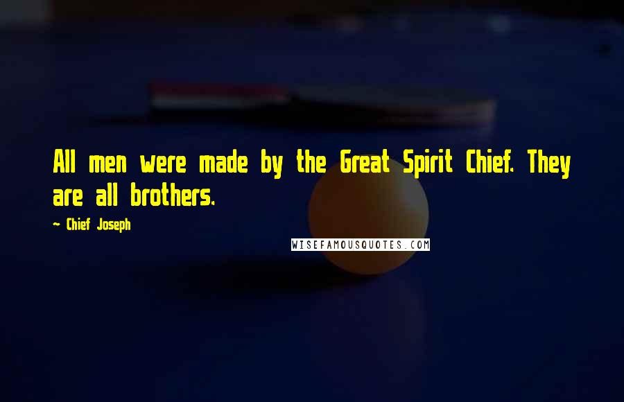 Chief Joseph Quotes: All men were made by the Great Spirit Chief. They are all brothers.