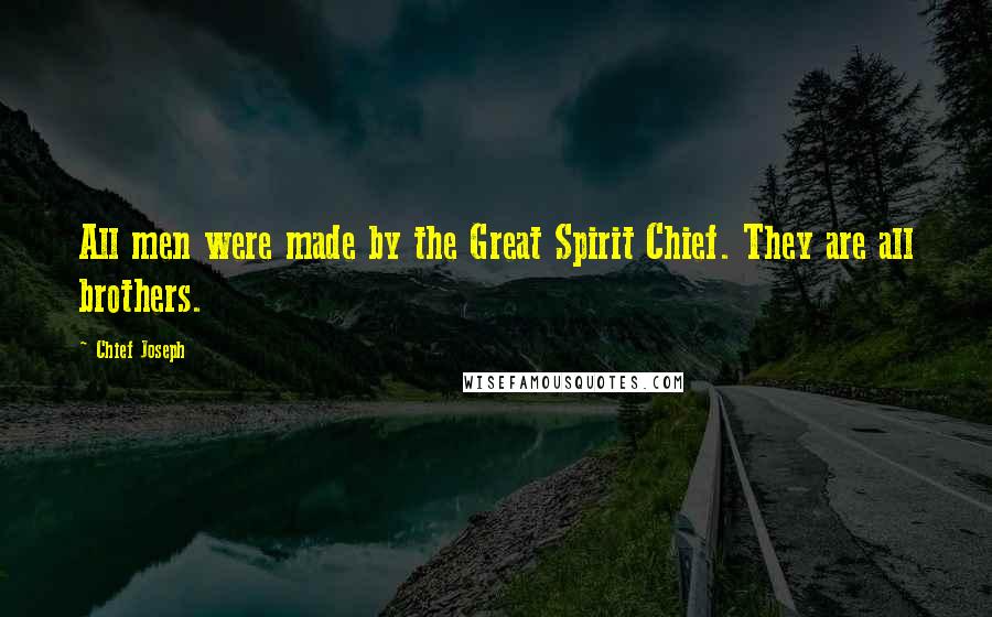 Chief Joseph Quotes: All men were made by the Great Spirit Chief. They are all brothers.