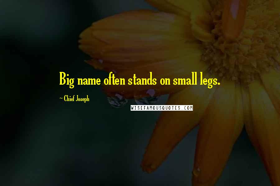 Chief Joseph Quotes: Big name often stands on small legs.