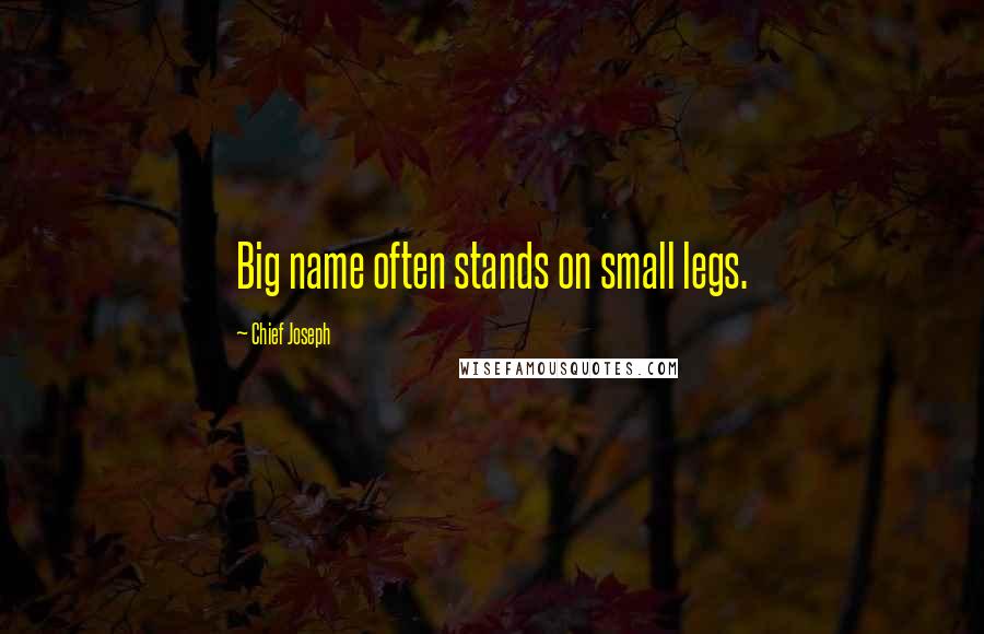 Chief Joseph Quotes: Big name often stands on small legs.