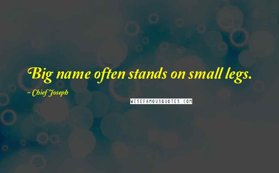 Chief Joseph Quotes: Big name often stands on small legs.