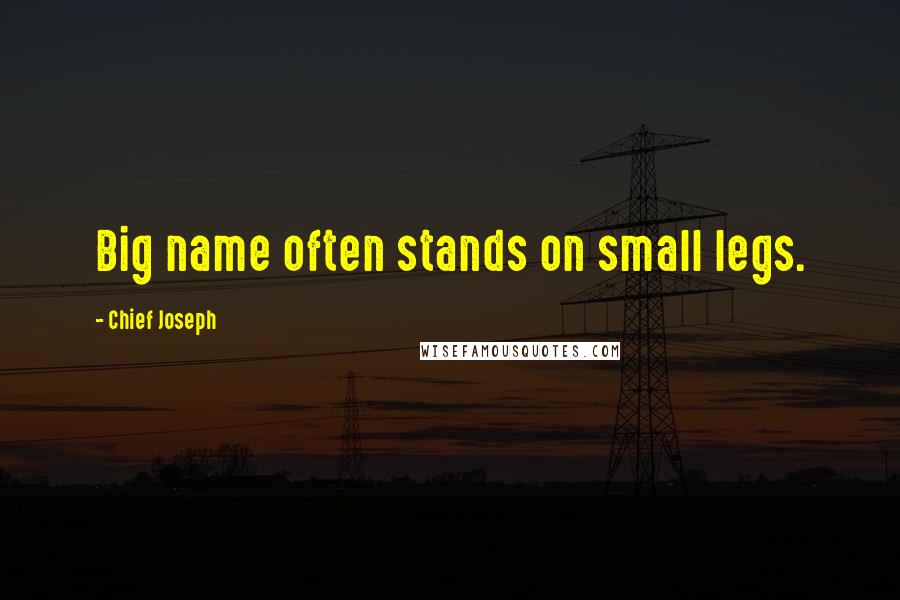 Chief Joseph Quotes: Big name often stands on small legs.