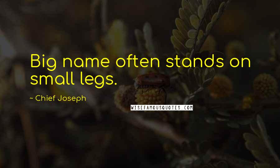 Chief Joseph Quotes: Big name often stands on small legs.