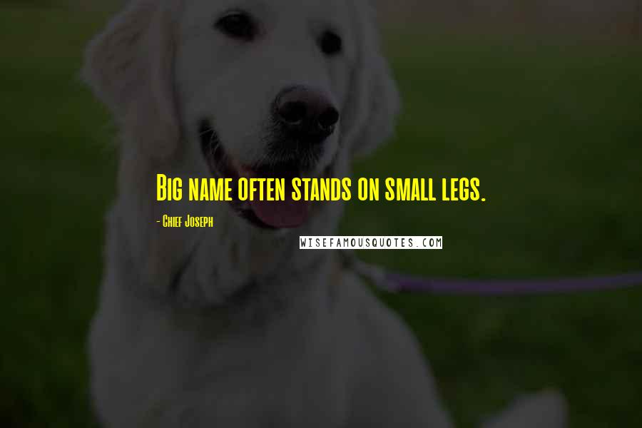 Chief Joseph Quotes: Big name often stands on small legs.