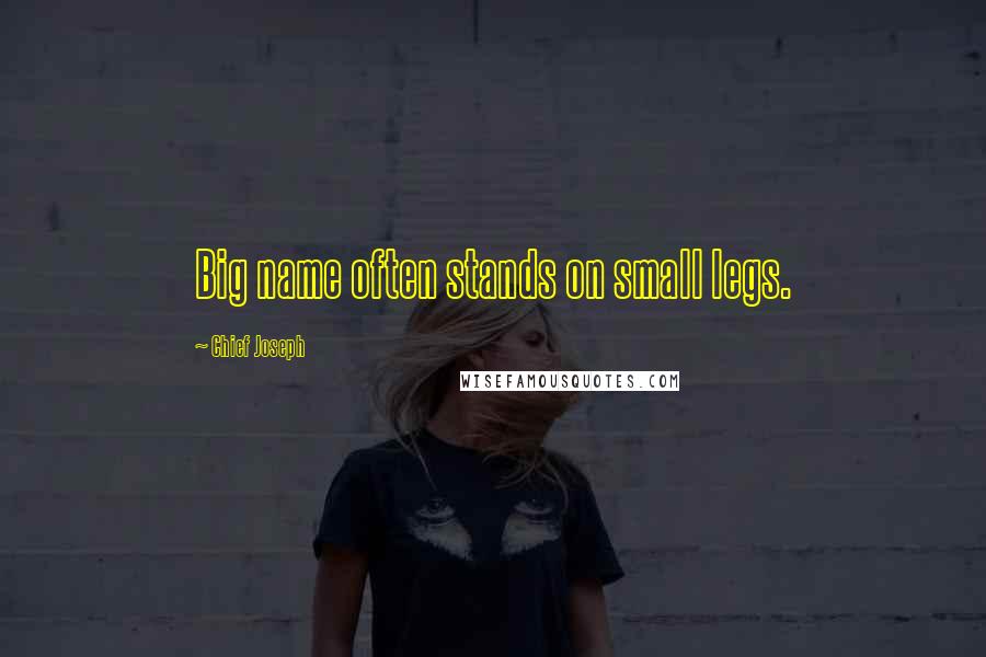 Chief Joseph Quotes: Big name often stands on small legs.