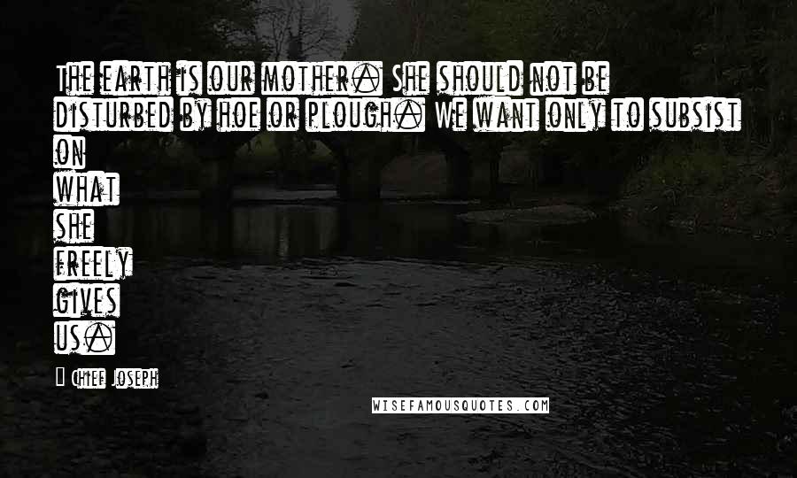 Chief Joseph Quotes: The earth is our mother. She should not be disturbed by hoe or plough. We want only to subsist on what she freely gives us.