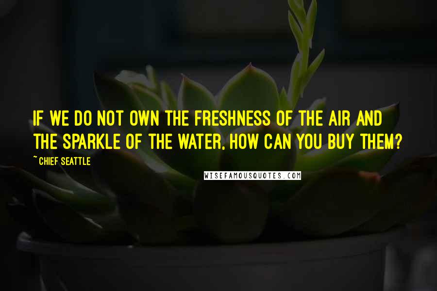 Chief Seattle Quotes: If we do not own the freshness of the air and the sparkle of the water, how can you buy them?