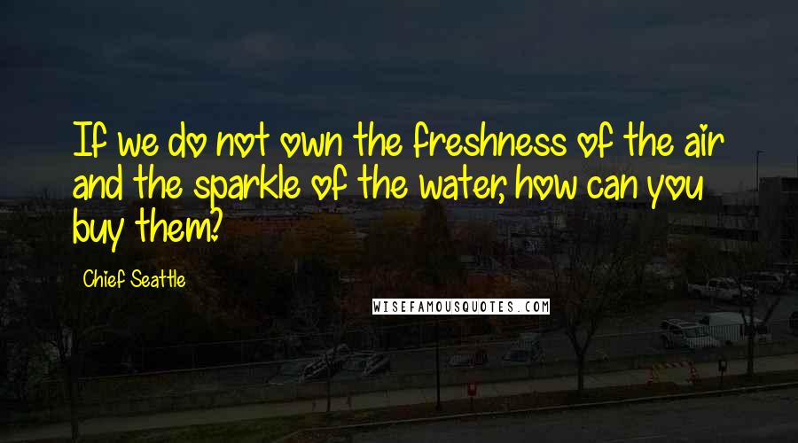 Chief Seattle Quotes: If we do not own the freshness of the air and the sparkle of the water, how can you buy them?