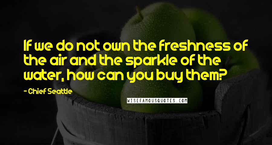 Chief Seattle Quotes: If we do not own the freshness of the air and the sparkle of the water, how can you buy them?