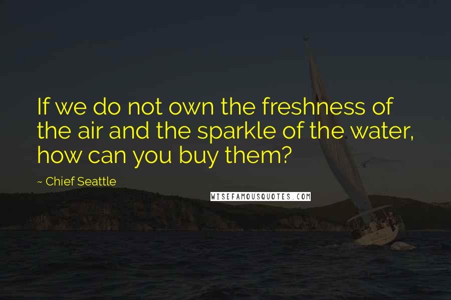 Chief Seattle Quotes: If we do not own the freshness of the air and the sparkle of the water, how can you buy them?