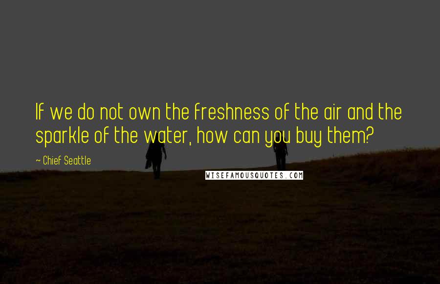 Chief Seattle Quotes: If we do not own the freshness of the air and the sparkle of the water, how can you buy them?