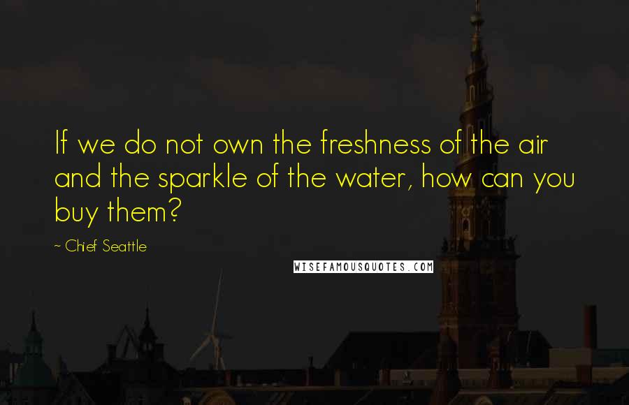Chief Seattle Quotes: If we do not own the freshness of the air and the sparkle of the water, how can you buy them?