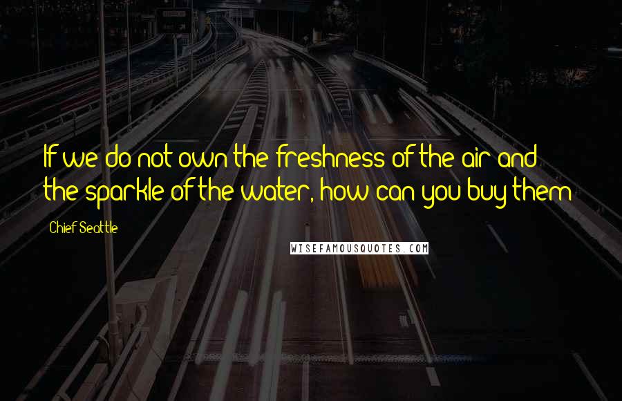 Chief Seattle Quotes: If we do not own the freshness of the air and the sparkle of the water, how can you buy them?