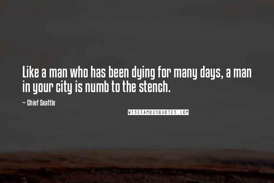 Chief Seattle Quotes: Like a man who has been dying for many days, a man in your city is numb to the stench.