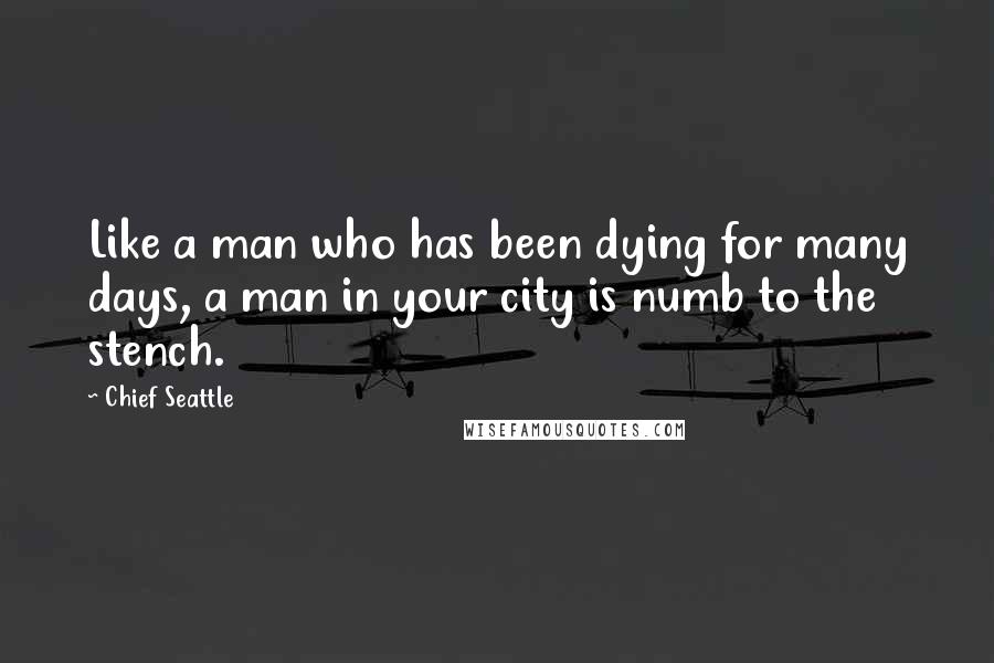 Chief Seattle Quotes: Like a man who has been dying for many days, a man in your city is numb to the stench.