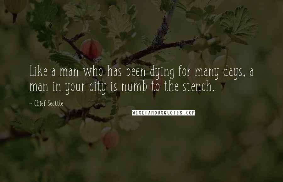 Chief Seattle Quotes: Like a man who has been dying for many days, a man in your city is numb to the stench.