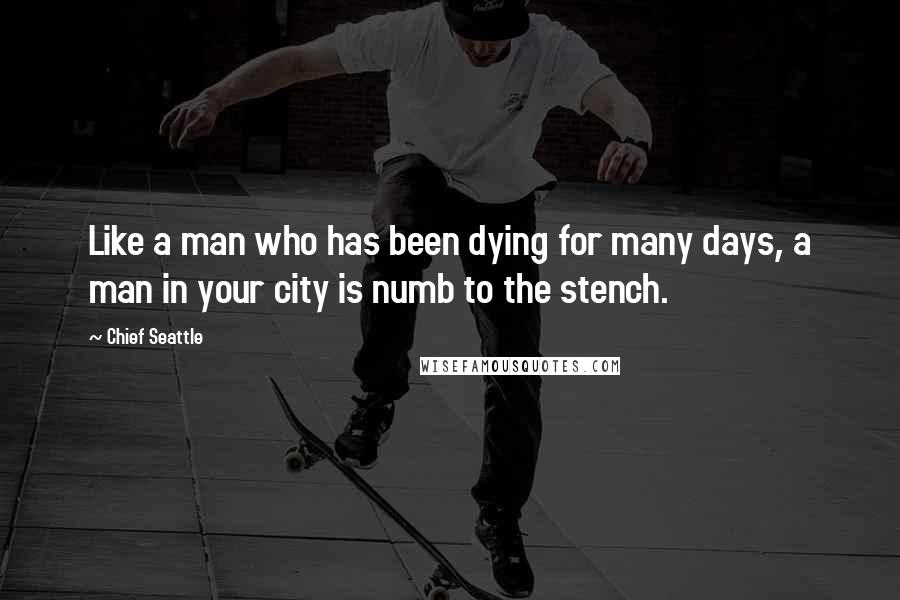 Chief Seattle Quotes: Like a man who has been dying for many days, a man in your city is numb to the stench.