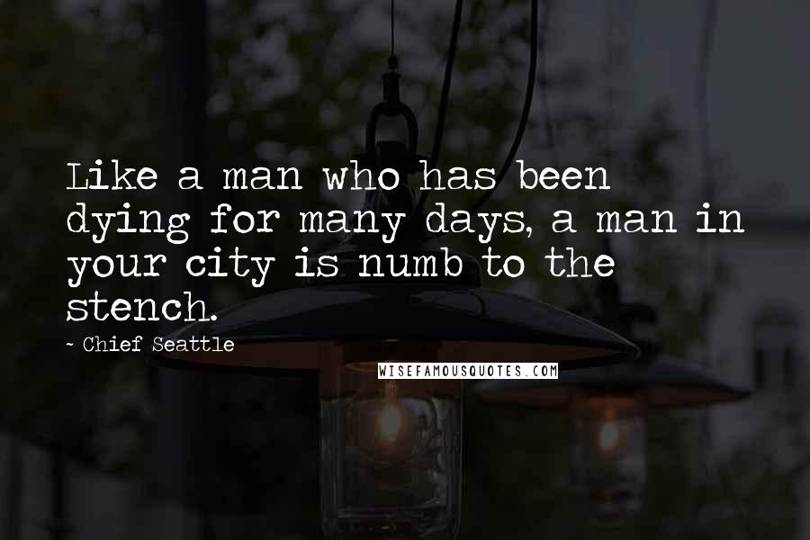 Chief Seattle Quotes: Like a man who has been dying for many days, a man in your city is numb to the stench.