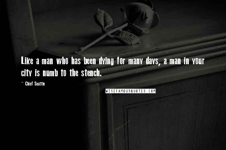 Chief Seattle Quotes: Like a man who has been dying for many days, a man in your city is numb to the stench.