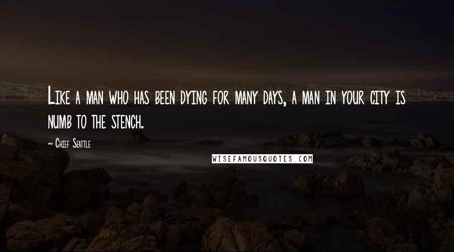 Chief Seattle Quotes: Like a man who has been dying for many days, a man in your city is numb to the stench.