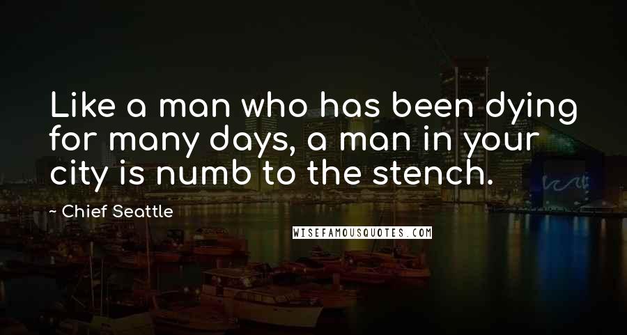 Chief Seattle Quotes: Like a man who has been dying for many days, a man in your city is numb to the stench.