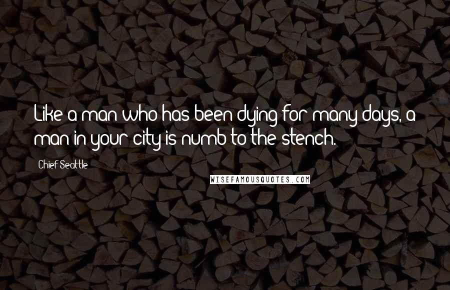 Chief Seattle Quotes: Like a man who has been dying for many days, a man in your city is numb to the stench.