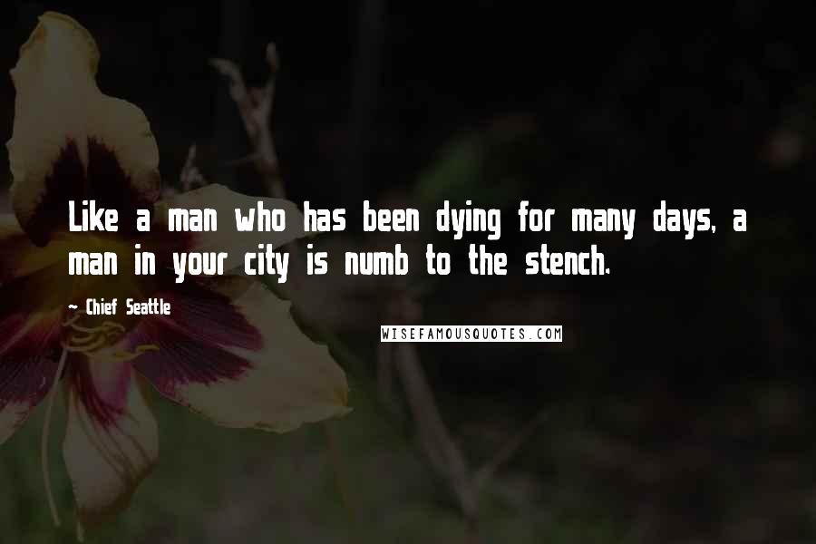 Chief Seattle Quotes: Like a man who has been dying for many days, a man in your city is numb to the stench.