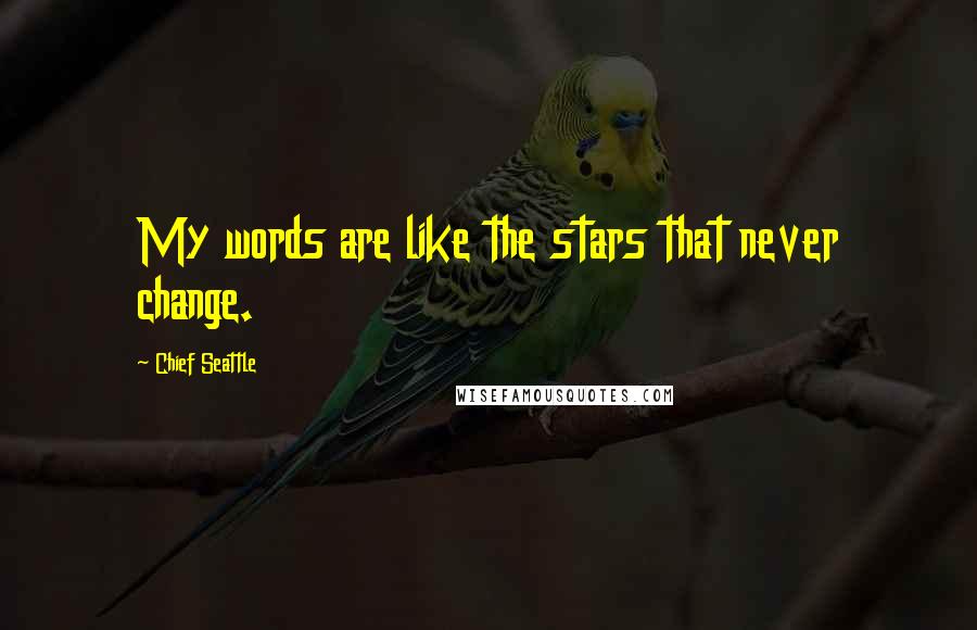 Chief Seattle Quotes: My words are like the stars that never change.