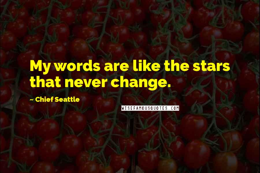 Chief Seattle Quotes: My words are like the stars that never change.