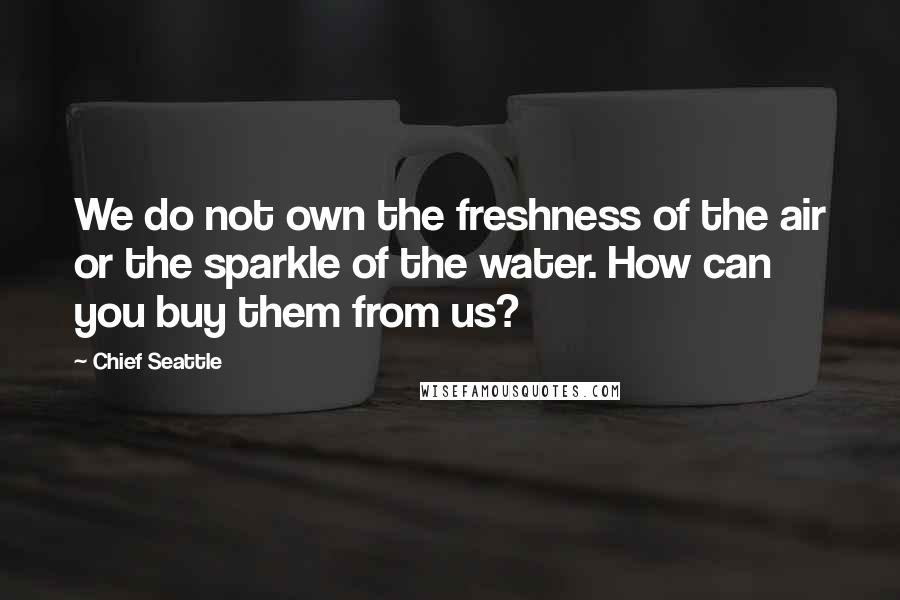 Chief Seattle Quotes: We do not own the freshness of the air or the sparkle of the water. How can you buy them from us?