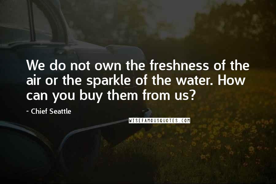 Chief Seattle Quotes: We do not own the freshness of the air or the sparkle of the water. How can you buy them from us?