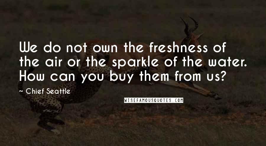 Chief Seattle Quotes: We do not own the freshness of the air or the sparkle of the water. How can you buy them from us?