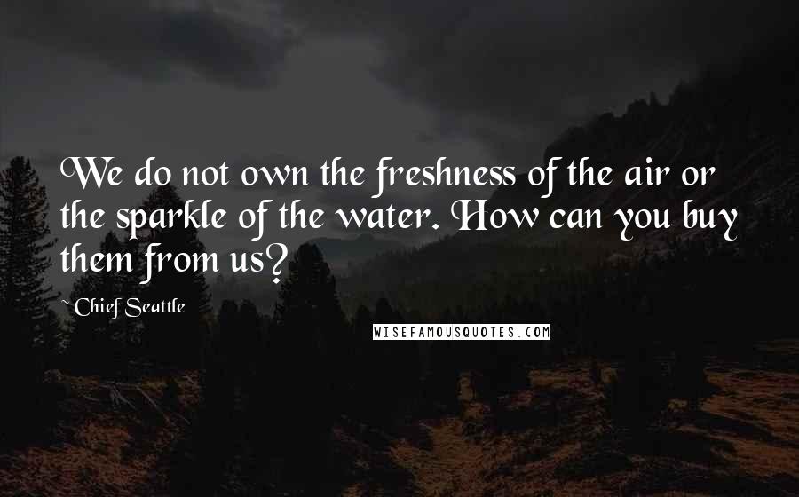 Chief Seattle Quotes: We do not own the freshness of the air or the sparkle of the water. How can you buy them from us?