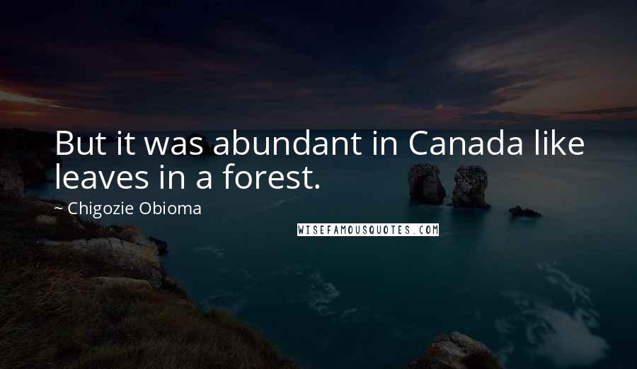 Chigozie Obioma Quotes: But it was abundant in Canada like leaves in a forest.