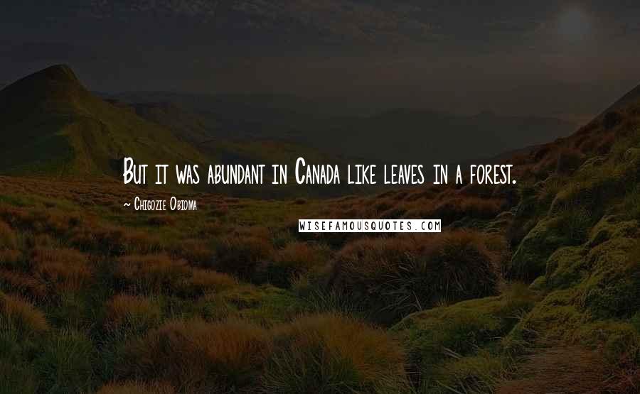 Chigozie Obioma Quotes: But it was abundant in Canada like leaves in a forest.