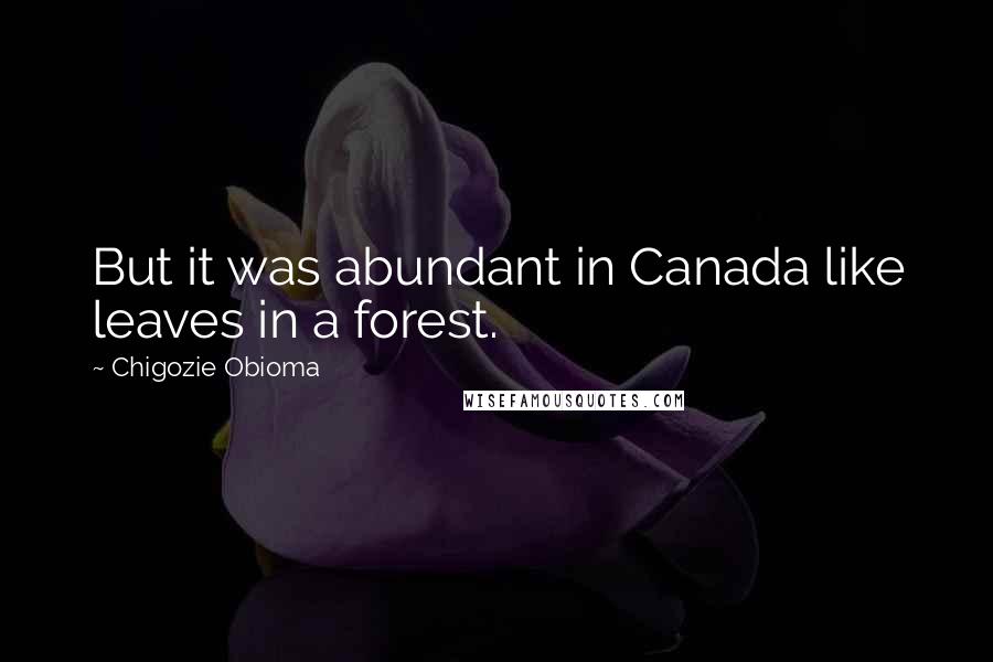 Chigozie Obioma Quotes: But it was abundant in Canada like leaves in a forest.