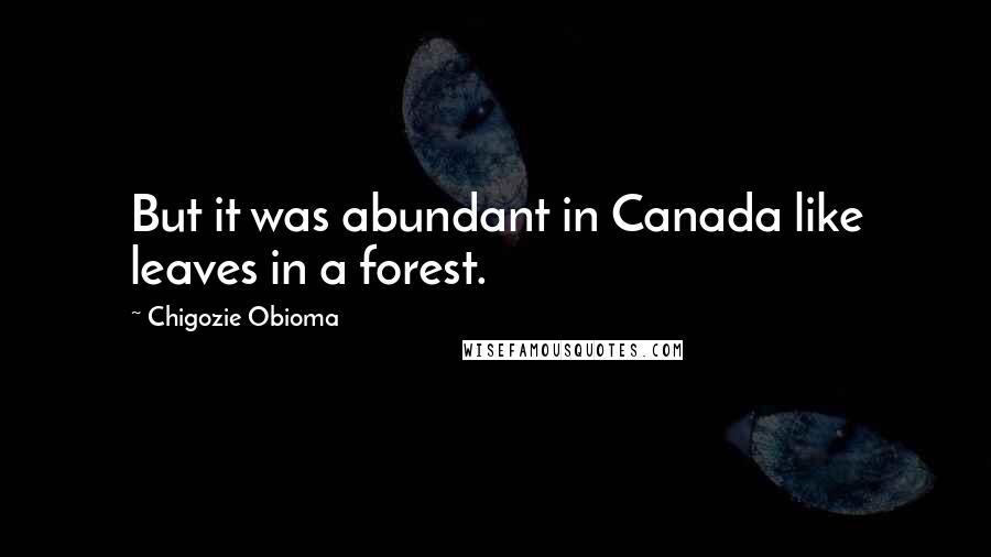 Chigozie Obioma Quotes: But it was abundant in Canada like leaves in a forest.