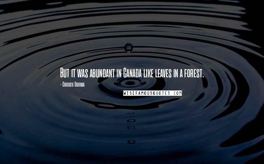 Chigozie Obioma Quotes: But it was abundant in Canada like leaves in a forest.