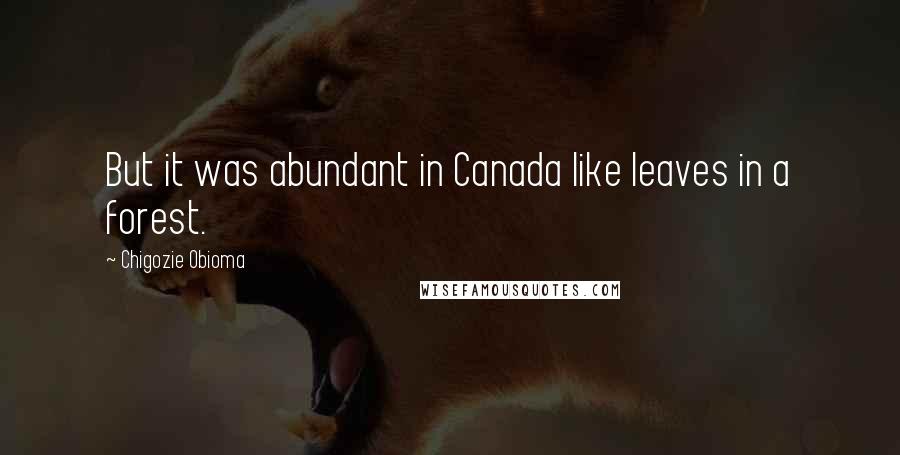 Chigozie Obioma Quotes: But it was abundant in Canada like leaves in a forest.