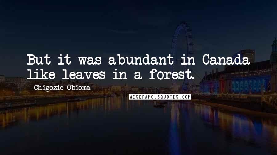 Chigozie Obioma Quotes: But it was abundant in Canada like leaves in a forest.