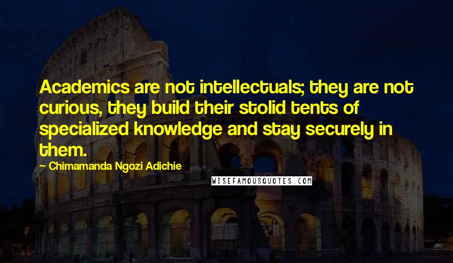 Chimamanda Ngozi Adichie Quotes: Academics are not intellectuals; they are not curious, they build their stolid tents of specialized knowledge and stay securely in them.