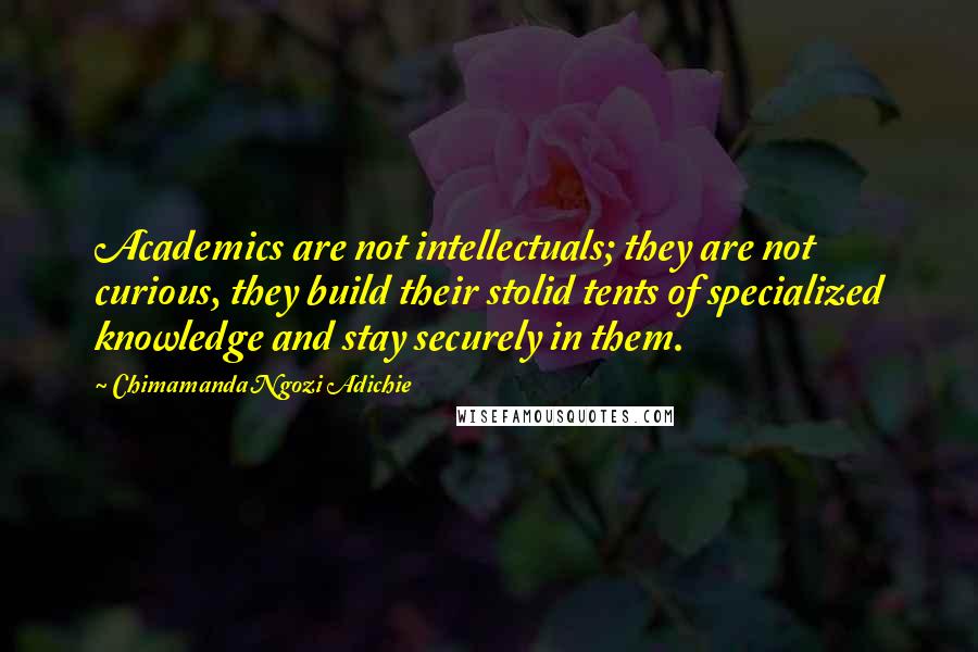 Chimamanda Ngozi Adichie Quotes: Academics are not intellectuals; they are not curious, they build their stolid tents of specialized knowledge and stay securely in them.