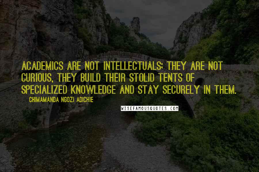 Chimamanda Ngozi Adichie Quotes: Academics are not intellectuals; they are not curious, they build their stolid tents of specialized knowledge and stay securely in them.