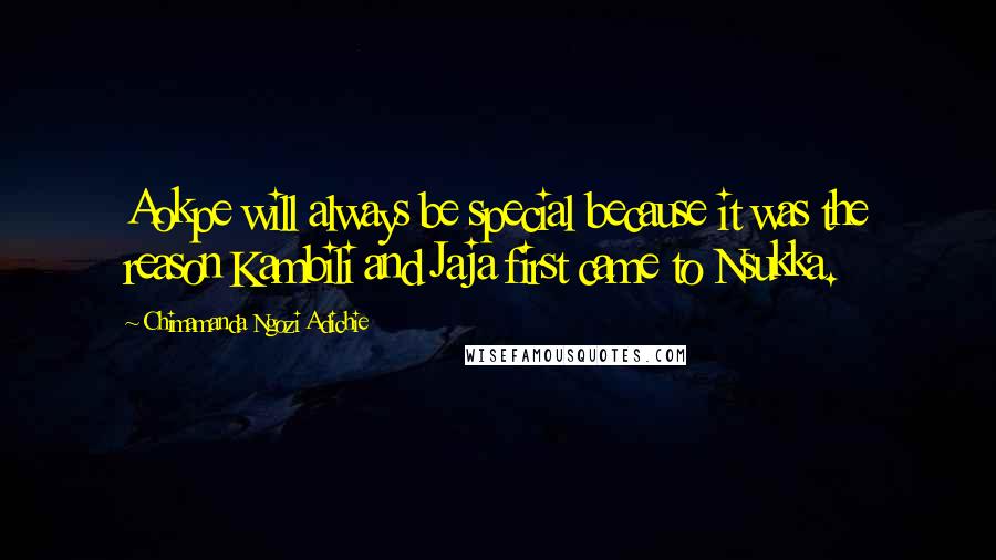 Chimamanda Ngozi Adichie Quotes: Aokpe will always be special because it was the reason Kambili and Jaja first came to Nsukka.