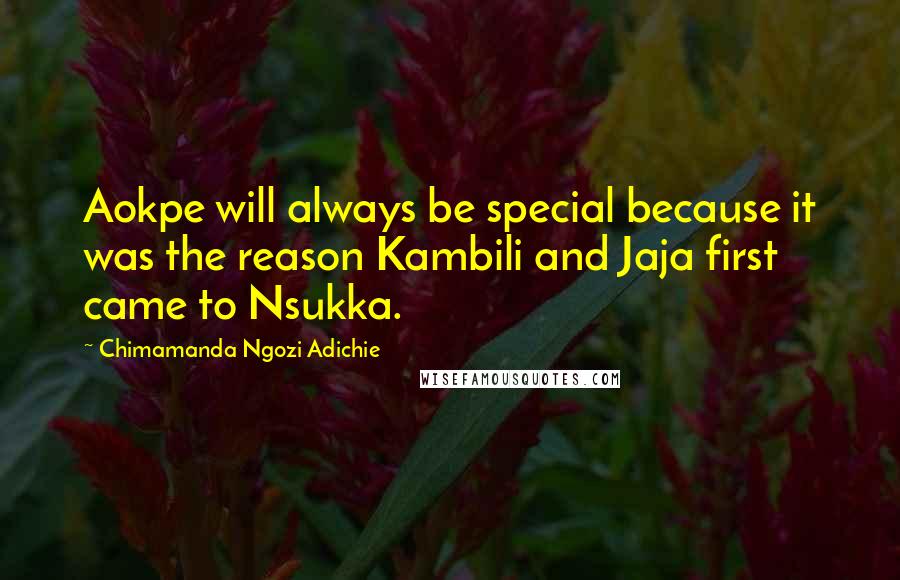 Chimamanda Ngozi Adichie Quotes: Aokpe will always be special because it was the reason Kambili and Jaja first came to Nsukka.