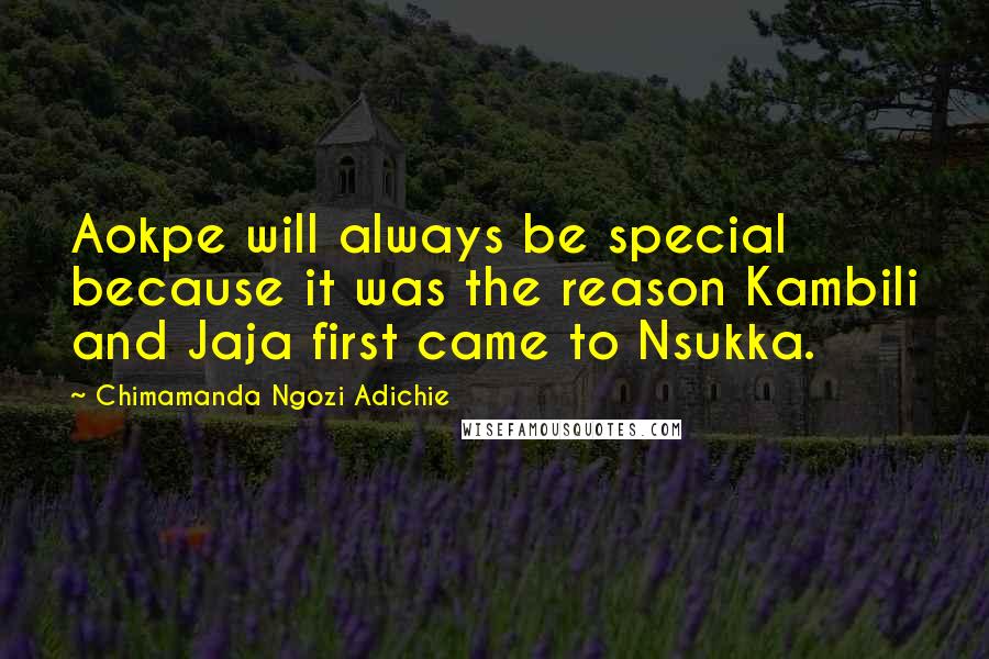 Chimamanda Ngozi Adichie Quotes: Aokpe will always be special because it was the reason Kambili and Jaja first came to Nsukka.