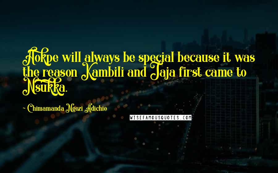 Chimamanda Ngozi Adichie Quotes: Aokpe will always be special because it was the reason Kambili and Jaja first came to Nsukka.