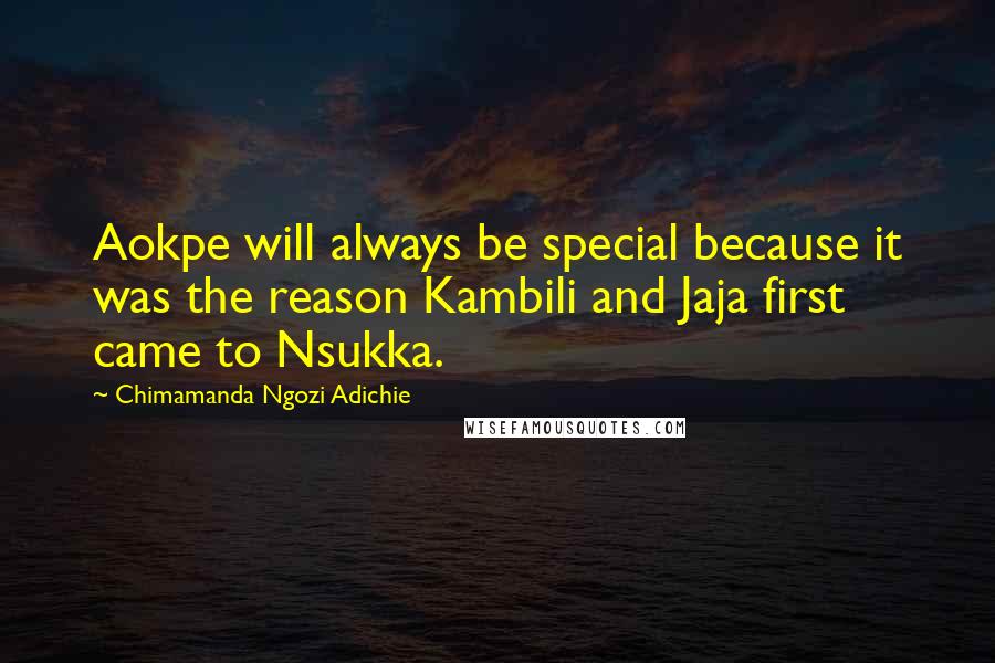 Chimamanda Ngozi Adichie Quotes: Aokpe will always be special because it was the reason Kambili and Jaja first came to Nsukka.